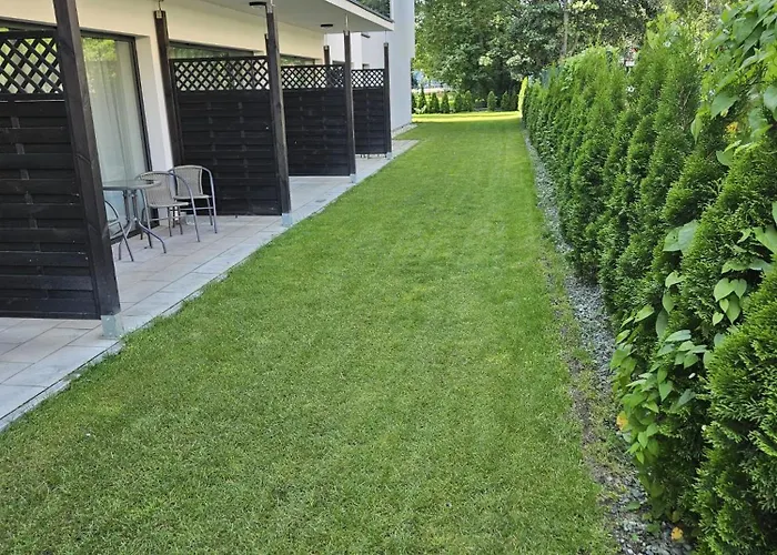 Black Magic Z Klimatyzacja - Solny A002 コウォブジェク